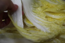 초보자분들을 위해~ 칼국수집 배추겉절이 만드는 방법