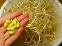 삼겹 콩나물 무우국