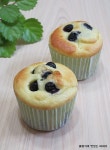 블루베리머핀만들기 황금레시피 모음