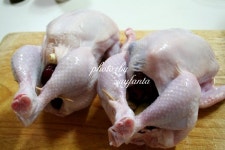 가시오가피 삼계탕