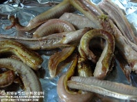 꼼장어양념구이