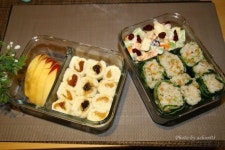 봄나들이 소풍도시락 _ 근대쌈밥 도시락