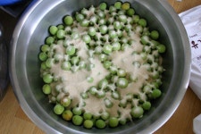 매실발효액 만들기