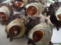 참소라찜...울퉁불퉁 뿔이 많이 난 참소라는 겨울철에 더 맛있다고 하네요