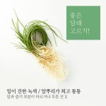 아이들도 맛있게 즐길 수 있는 달래비빔밥
