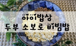 살림의팁 야채다짐 만들기/ 다짐 소고기 만들기 보관