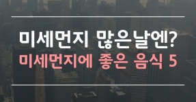 만개의 레시피