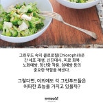 내 몸을 푸르게! 그린푸드♪