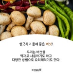 자연에서 자라난 보약! 버섯의 효능♡