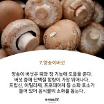 자연에서 자라난 보약! 버섯의 효능♡