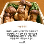 자연에서 자라난 보약! 버섯의 효능♡