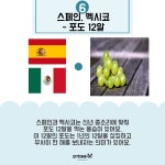 2018년을 시작하는 스타트, 세계 각국의 새해음식