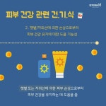 미사랑피부관리건강기능식품 | 건강기능식품, 요것만 알아둬! 꿀 피부를 위한 건강기능식품 선택 노하우!