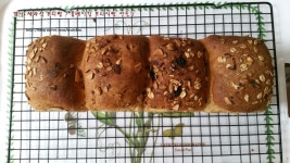 옛날 제과점 보리빵 ? 홈베이킹 보리식빵 만들기