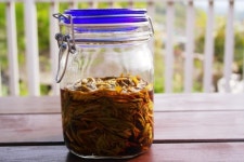 쌉싸름한 맛이 좋은 ~민들레 간장장아찌 !