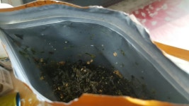 느린바다 해조류 유기농 자반김으로 계란말이밥 만들었어요~~