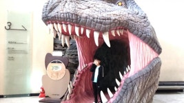 친정부모님과 함께한 카라반여행사천에서 2일.지리산폐교 야영장에서 1일공룡박물관. 기차마을.마지막으로 임실치즈 테마파크에서 치즈와 한우.... 