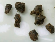 <여름제철 과일> 블루베리&복숭아 밀크빙수