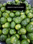 면연력을 증가시키는 제철 청 귤청
