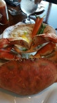 했는데 이집스프가 정말 맛나요.메인으로는 던전크랩을 시켰는데 좀... 결국은 밥과 김치 된장찌게와 라면으로 마무리~한국입맛은 못 말려 입니다 ㅋ 