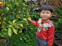 천은이는.저번주.금요일에.귤농장갓다왓어요 귤차도만들고.귤도.3개나 따오고.ㅋ.지은이는 아빠가사준 핑크모자.핑크부츠.핑크잠바 입구.수원.... 