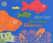 [[영어도서] My First Literacy Level 1-03 : Blue Sea (Paperback Set)]