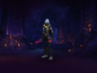 여우리 - 캐릭터 여우리 - 캐릭터 - WoW