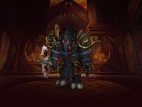 헤어볼 - 캐릭터 헤어볼 - 캐릭터 - WoW