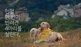 [반려견과 해피 동거] “아파도 참을래요”...친구 살리는 ‘도그너’를 아시나요?- 헤럴드경제 [반려견과 해피 동거] “아파도 참을래요”...... 