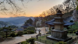 영주시·市관광협·승우여행사, ‘영주야 한밤에’ 세계유산탐방- 헤럴드경제 영주시·市관광협·승우여행사, ‘영주야 한밤에’ 세계유산탐방