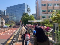 꽃길로 등교하는 어린이- 헤럴드경제 꽃길로 등교하는 어린이