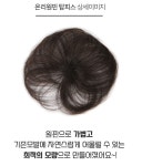 여우가발 헤이위그 온리원핀 탑피스 부분가발 앞머리핀 H9018