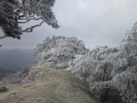 백두대간19구간 이화령-희양산-지름티재(2016.02,14)