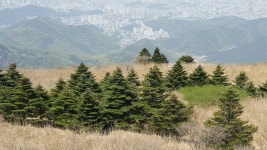 무등산