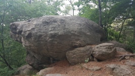 게시판 - 도전하라! 트랭글 도전5기-수원소재 광교산 환종주