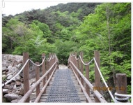 육십령에서 동업령까지(2011.5.22)