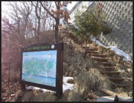 백두대간8구간(부항령-우두령)