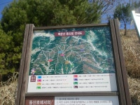 광양 백운산~~~