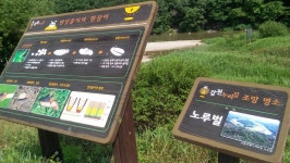 11시간 23분, 44.45km 갑천누리길 2,3구간 완주