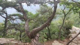 게룡산(도덕봉-금수봉) 산행