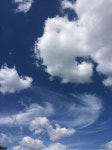 성급하게 붉게 물든 단풍 한 그루 - 도봉산