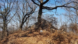 대전둘레산길 5구간