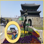 오랫만에 수원행궁 유류자전거 대여하여 수원화성 주변 10.46Km Riding !!~