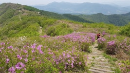 봉화산 