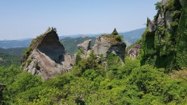 중장년이 지켜야 할 필수근육