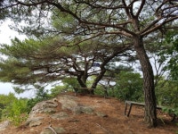 원주 소군산 산행기