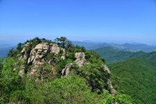 홍천 가리산에서 산림욕