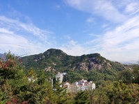 서대문구 안산 데크 안 밟고 흙길로 한바퀴 돌기