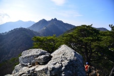 늦가을 계룡산 ~`