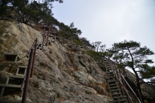 늦가을 계룡산 ~`